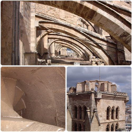 Catedral_ (3).jpg